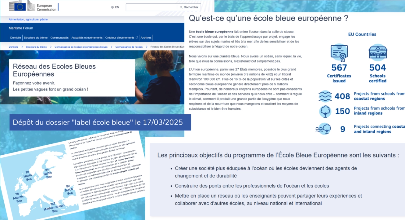 certificat 2 école bleue